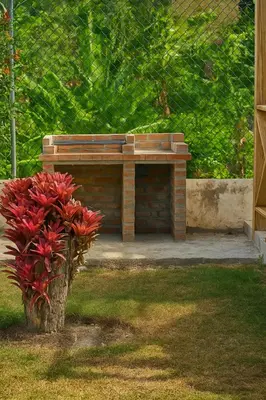 a wooden bench in a yard with a bush at Penthouse with Large Rooftop Terrace & Parking in Sosúa