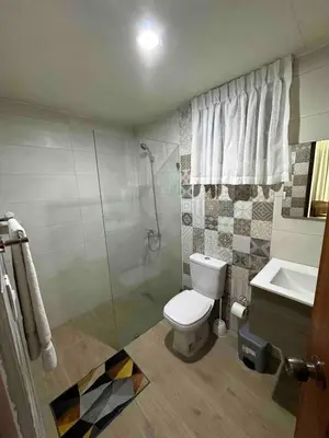 a bathroom with a toilet and a shower and a sink at Burungos Place at Terrazas del Caribe in Ensanche Savica de Mendoza