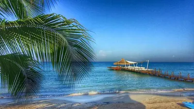 Gallery image of Cadaques Caribe Pez 103 in Bayahibe