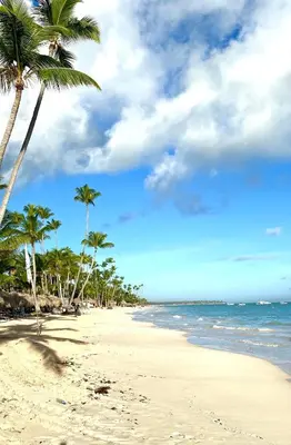 a beach with palm trees and the ocean at Vista del Sol Pool and Beach los Corales Rd in Punta Cana