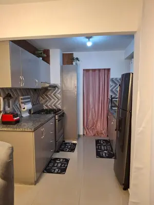 a kitchen with stainless steel appliances and a pink curtain at Luna airport retreat in Boca Chica