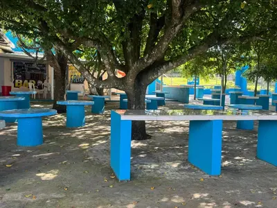 a group of blue picnic tables under a tree at Villa club turístico tu ancla in Los Alcarrizos