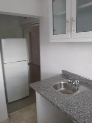 a kitchen with a sink and a white refrigerator at Villa club turístico tu ancla in Los Alcarrizos
