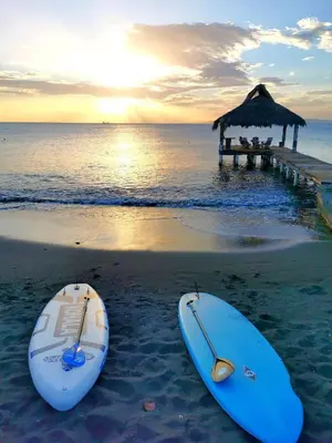 two surfboards sitting on a beach with the ocean at Bayshore 76 Beachfront Villa Palmar de ocoa in Palmar de Ocoa