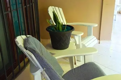 a potted plant sitting on a table next to two chairs at Villa Eli in Puerto Plata