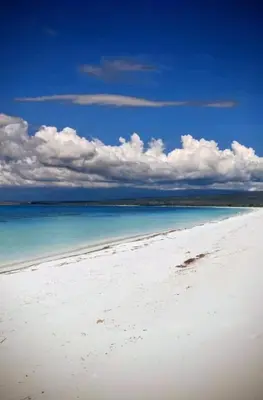 a beach with the ocean and blue sky and clouds at Hotel El Almendro in Pedernales