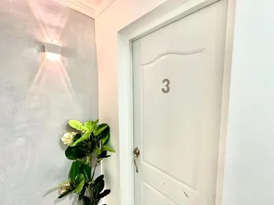 a white door with a plant next to it at RoblestRoom in Santiago de los Caballeros