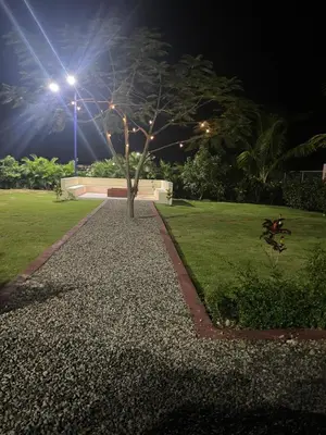 a park at night with a tree in the grass at Jeda Village in Higuey