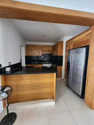 a kitchen with wooden cabinets and a stainless steel refrigerator at Cerro hermoso in Santiago de los Caballeros