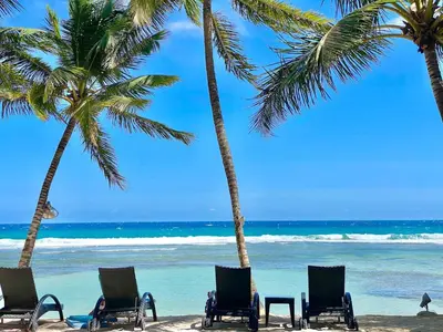 a beach with palm trees and chairs and the ocean at Cozy Beach Front Condo, Pool in La Puntica de Juan Dolio