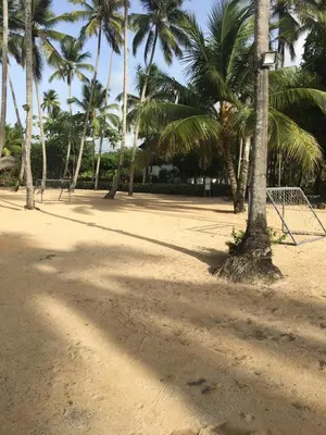 a volley ball net on a sandy beach with palm trees at Apartment Balcones Del Atlantico in Las Terrenas