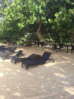 a row of chaise lounges in the sand under a tree at Apartment Balcones Del Atlantico in Las Terrenas