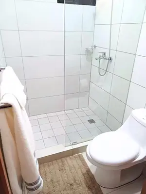 a bathroom with a toilet and a shower at Sunrise Apartments in San Felipe de Puerto Plata