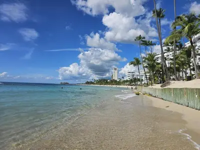 a beach with palm trees and the ocean on a sunny day at Apartamento Hermoso Frente Al Mar 11fl Amanzing in Juan Dolio