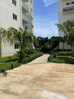 a walkway in front of a building with palm trees at Coralclifftower in Juan Dolio