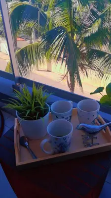 a tray with bowls and plants on a window sill at Apt in luxurious condominium near the beach in Juan Dolio