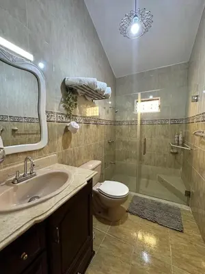 a bathroom with a sink and a shower and a toilet at Entire House in Santo Domingo Este in Los Frailes