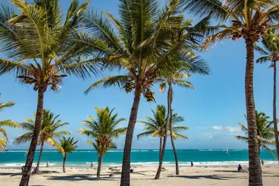 a group of palm trees on the beach at Suite Boho Swim-Up | Acceso Directo. Playa Privada in Punta Cana