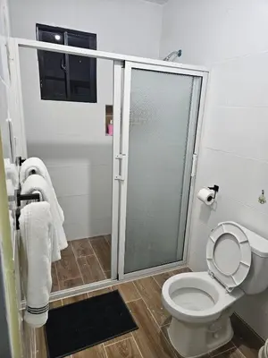 a bathroom with a toilet with a glass shower stall at Eastern Breeze in Hainamosa