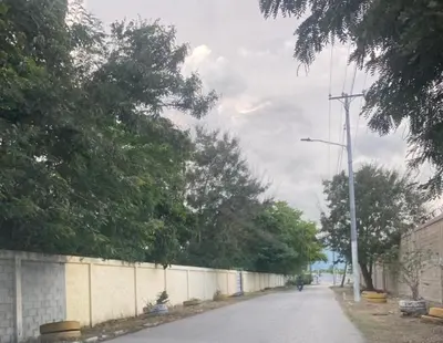 an empty street with a wall and trees on the side at Apartamento de recreación vista al mar in Boca Chica
