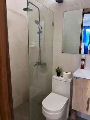 a bathroom with a shower and a toilet and a sink at Luxury Royalty-1 in Santa Cruz de Barahona