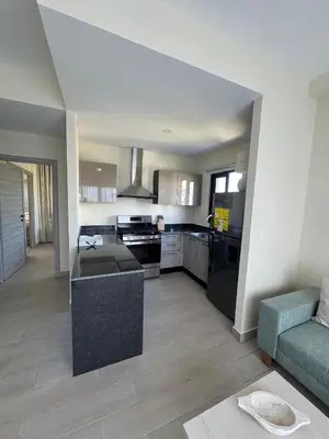 a large kitchen and living room with a couch at Hermoso PUNTA CANA VISTA CANA in Colorado