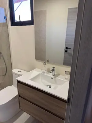a bathroom with a sink and a toilet and a mirror at Hermoso PUNTA CANA VISTA CANA in Colorado