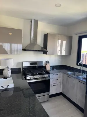 a kitchen with a stove and a sink at Hermoso PUNTA CANA VISTA CANA in Colorado