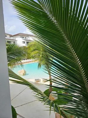 a palm tree in front of a swimming pool at Estrella Garden Condos Dominicus l Meridiana 204 in La Laguna