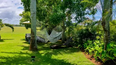a hammock hanging from trees in a yard at Villa Polo Luxury Villa in Casa de Campo, La Romana in La Romana