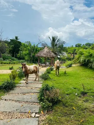 two cows walking down a stone path at Rancho paraíso escondido in San Pedro de Macorís