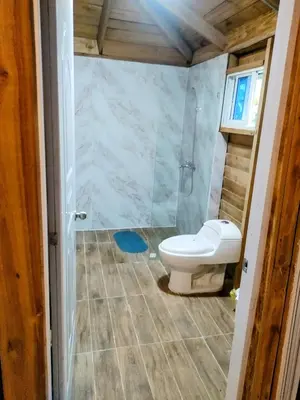a bathroom with a toilet and a shower at Montaña viva in Sánchez