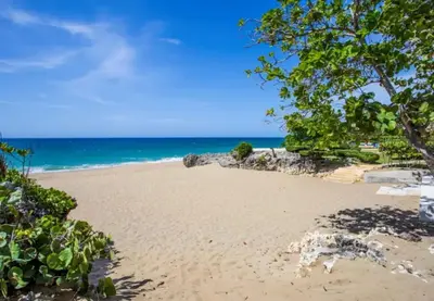 a beach with trees and the ocean in the background at Bubble Glamping, King bed, we have a 8 units like this in Sosúa