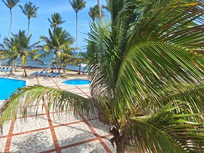 a view of a beach with palm trees and the ocean at marina view in La Puntica de Juan Dolio