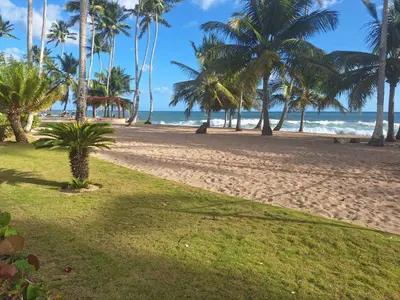 a sandy beach with palm trees and the ocean at marina view in La Puntica de Juan Dolio