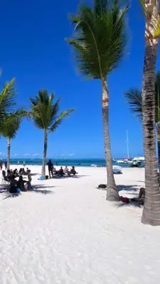 Gallery image of bavaretto ocean club in Punta Cana