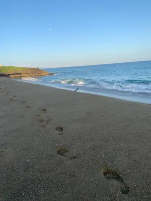 a pair of footprints in the sand on the beach at Luxury Oceanfront Condo in Sosúa