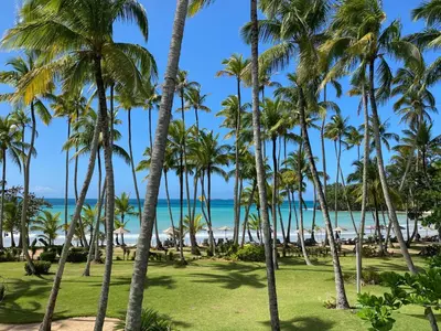 a view of the beach from the resort at Playa Bonita Modern Beachfront Penthouse - 3BR in Las Terrenas