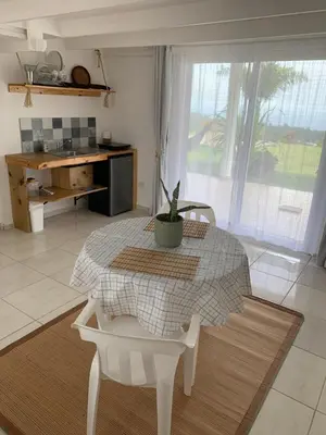 a kitchen with a table with a potted plant on it at Villa Brisa del Caribe in Las Terrenas