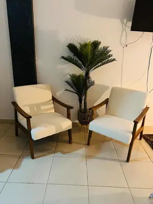 two chairs and a potted plant in a room at Style and comfort in downtown Santiago in Santiago de los Caballeros