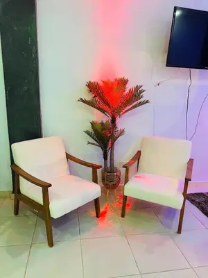 two chairs and a palm tree in a room at Style and comfort in downtown Santiago in Santiago de los Caballeros