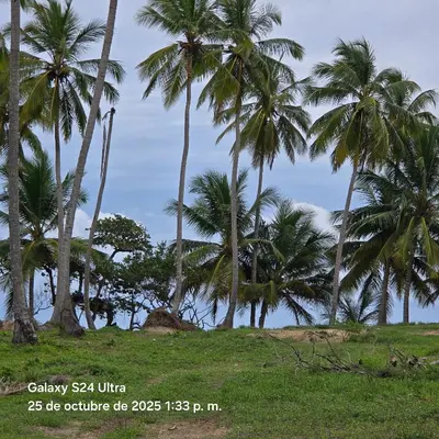 Gallery image of Playa las Canas