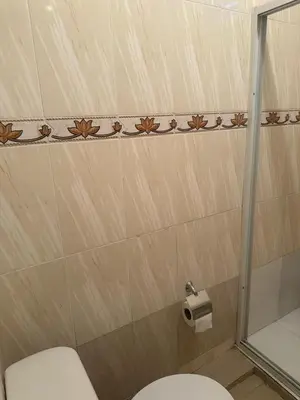 a bathroom with a toilet and a roll of toilet paper at Desconecta para volver a conectar - La bebida tiene costo adicional in Miches