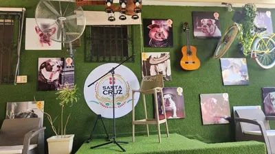 a green wall with pictures of dogs on it at Casa club by mama nelsy in Santa Cruz de El Seibo