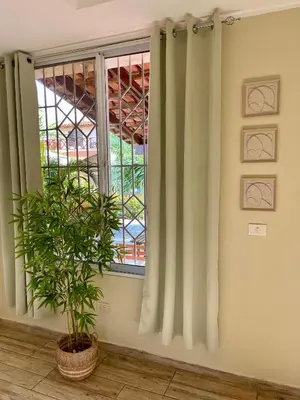 a plant in a room with a window at 21 Palms in Las Galeras
