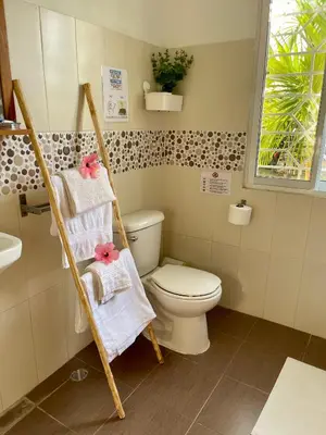a bathroom with a toilet and a shelf with towels at 21 Palms in Las Galeras