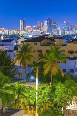 a city skyline with palm trees and buildings at Elegant Downtown Stay Santo Domingo in Santo Domingo