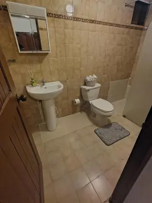 a bathroom with a toilet and a sink at Double room with private bathroom in Santo Domingo