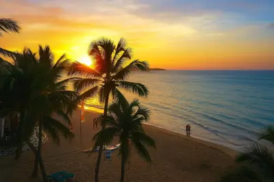a sunset on a beach with palm trees and the ocean at Cozy Beach Front Apt, King Bed. in Cabarete
