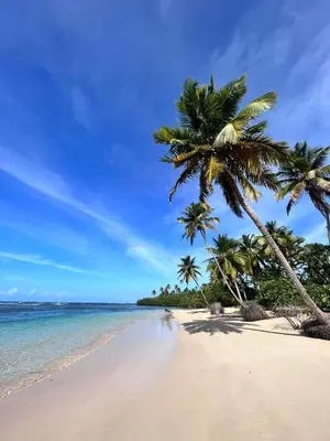 Gallery image of el limón in Las Terrenas
